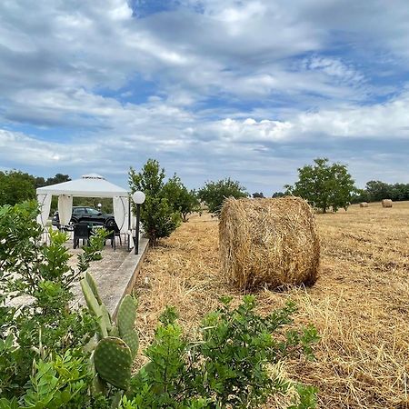 فيلا Trulli Del Sole مارتينا فرانكا المظهر الخارجي الصورة