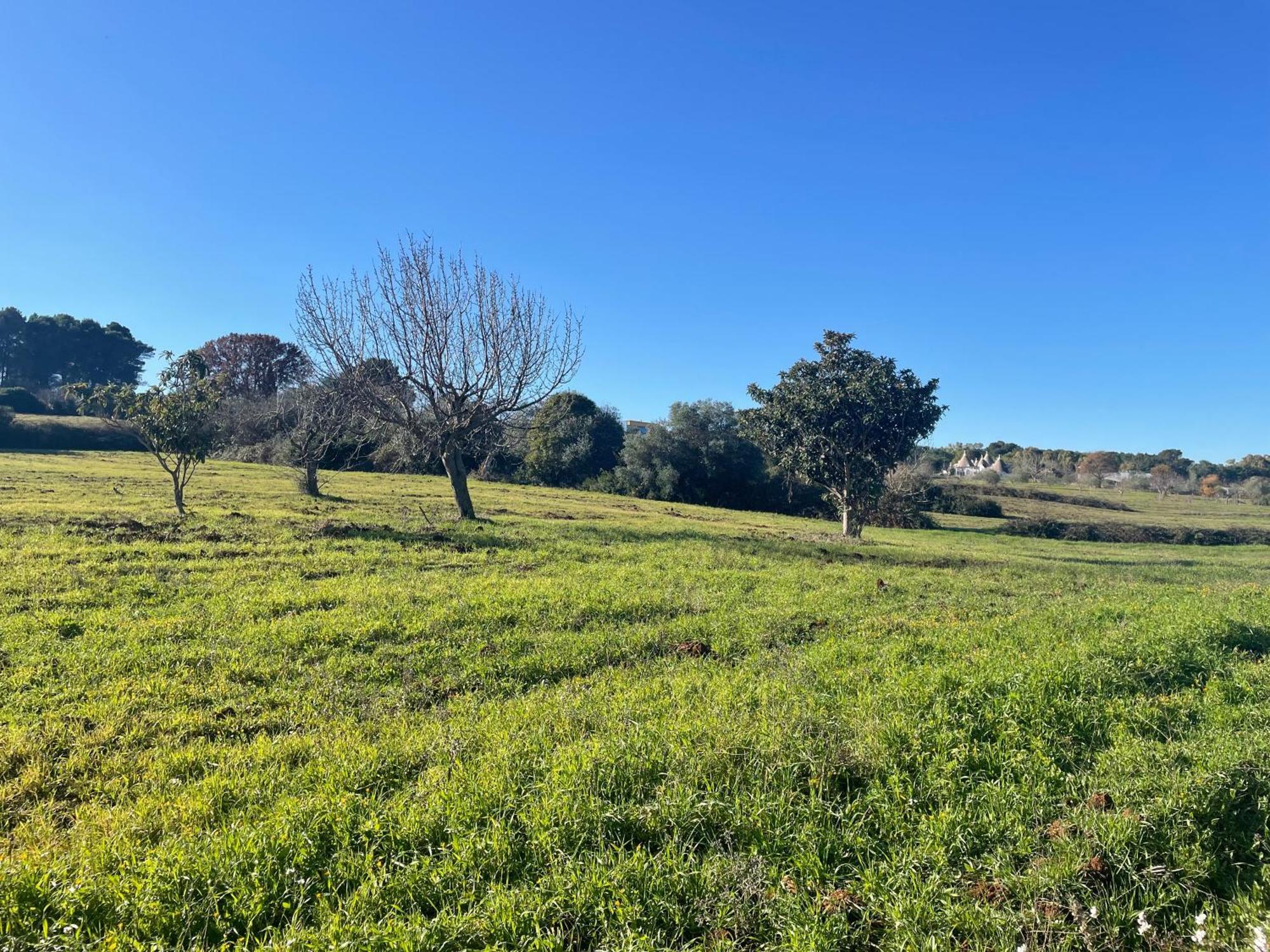 فيلا Trulli Del Sole مارتينا فرانكا المظهر الخارجي الصورة