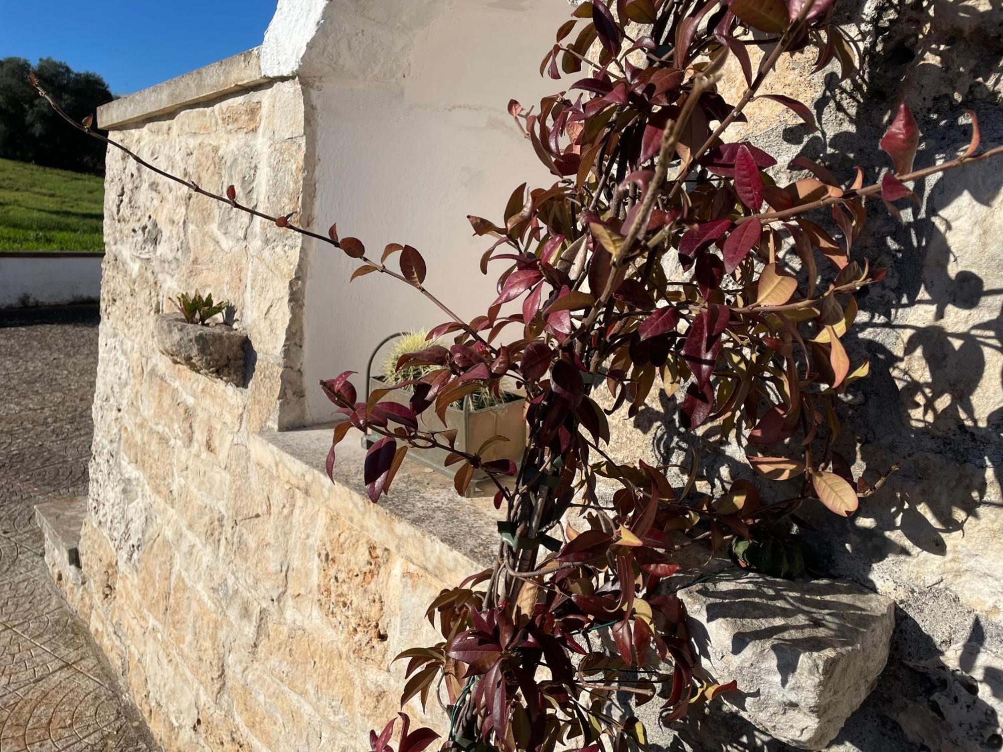 فيلا Trulli Del Sole مارتينا فرانكا المظهر الخارجي الصورة