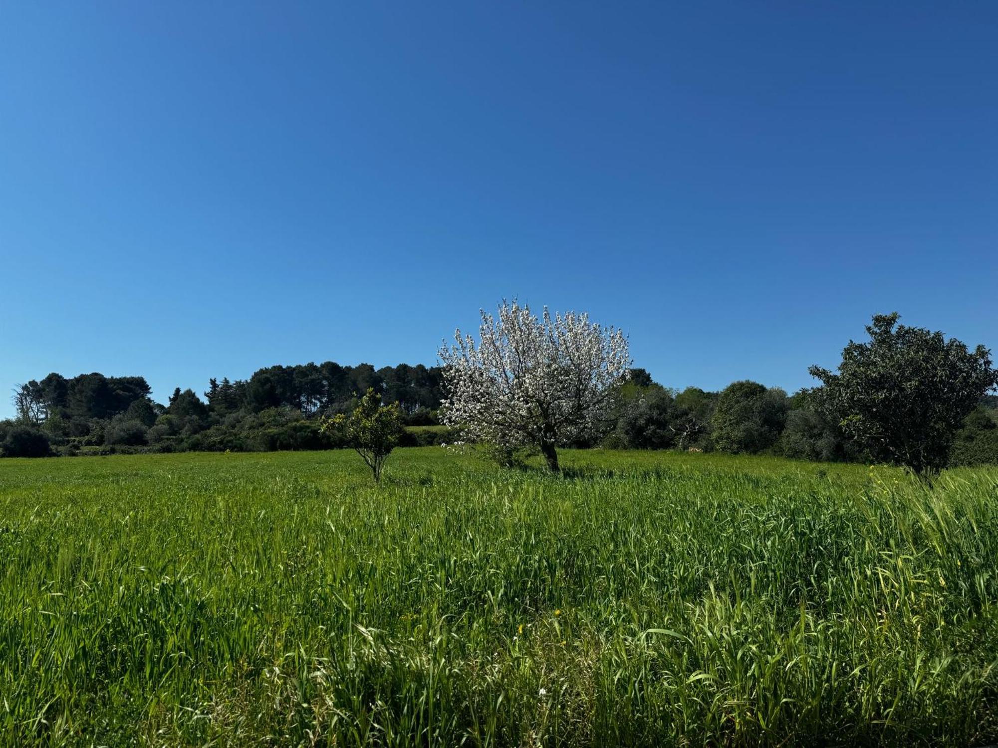 فيلا Trulli Del Sole مارتينا فرانكا المظهر الخارجي الصورة