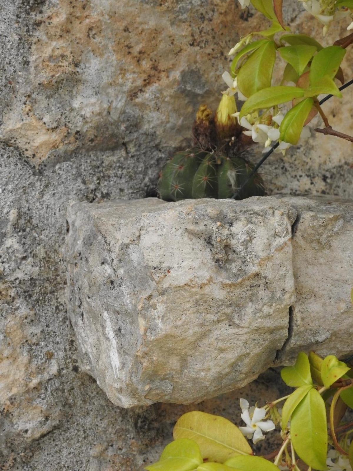 فيلا Trulli Del Sole مارتينا فرانكا المظهر الخارجي الصورة