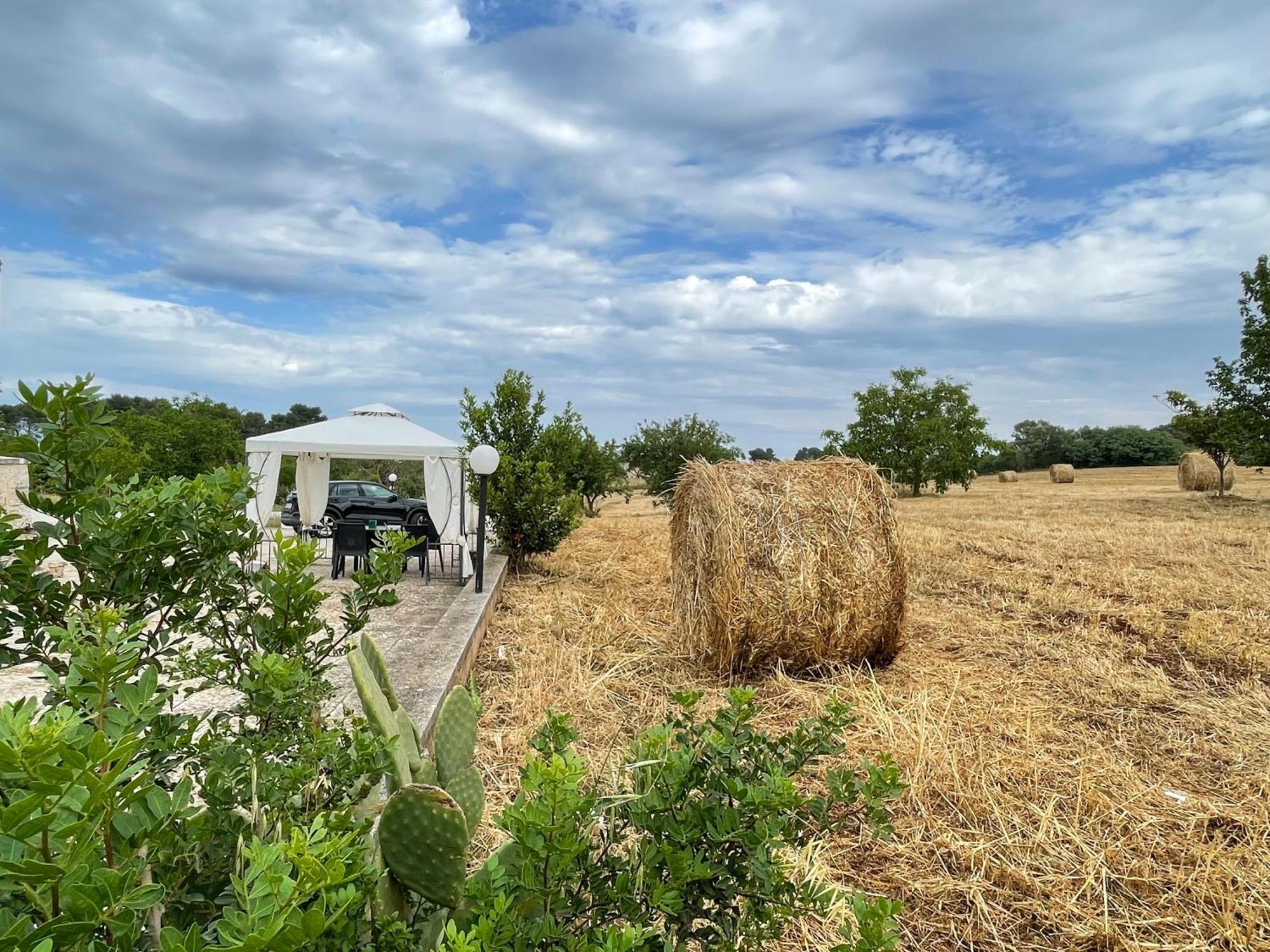 فيلا Trulli Del Sole مارتينا فرانكا المظهر الخارجي الصورة